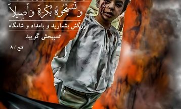 آیه ۸ سوره فتح