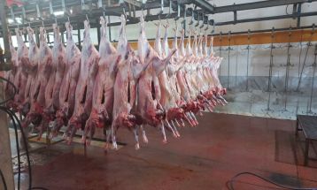 مشارکت ۷ میلیارد ریالی نیشابوری‌ها در نذر قربانی