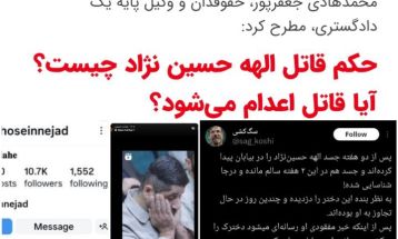 الهه حسین‌نژاد قربانی چه شد؟