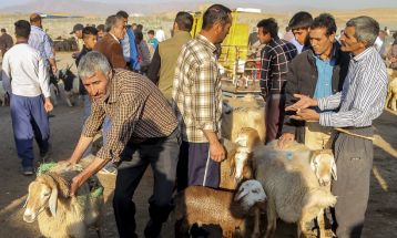 بهره‌برداری بزرگترین میدان دام شمال خراسان در قوچان