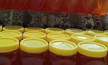 معدوم‌سازی ۶۰ کیلوگرم عسل فاقد هویت در طرقبه‌شاندیز
