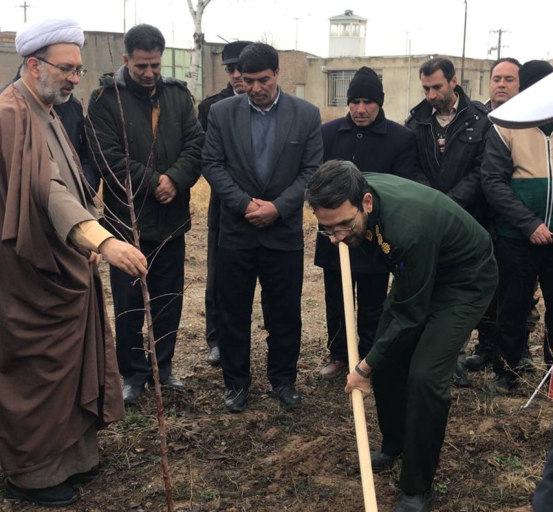 بسیجیان قوچانی بیش از 6 هزار نهال غرس می‌کنند
